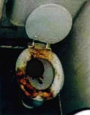 KCA-210 Drain and Sewerage Opener — foto aplikasi 2